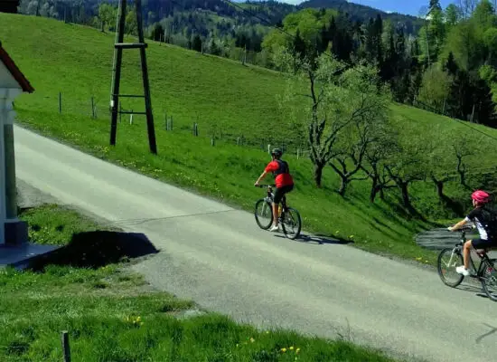 radfahren südsteirische weinstraße