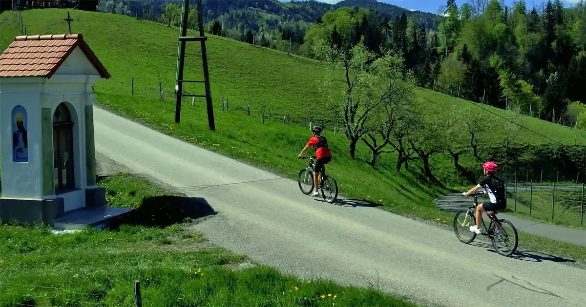 radfahren südsteirische weinstraße