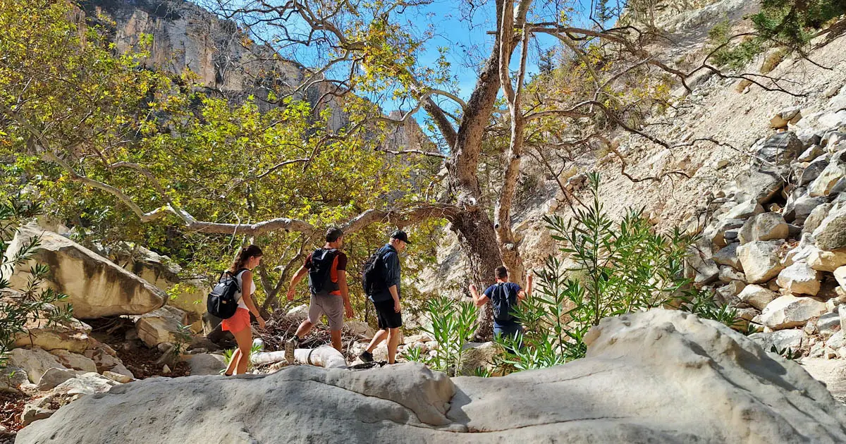 avakas schlucht wandern